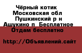 Чёрный котик. - Московская обл., Пушкинский р-н, Ашукино п. Бесплатное » Отдам бесплатно   